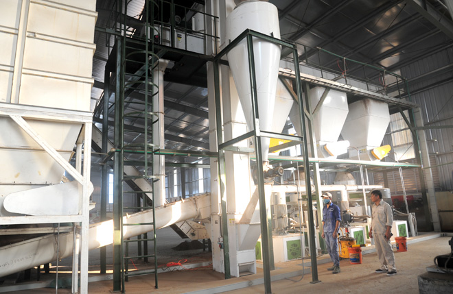 Quảng Bình chấp thuận đầu tư dự án nhà máy sản xuất viên nén gỗ 115 tỷ đồng