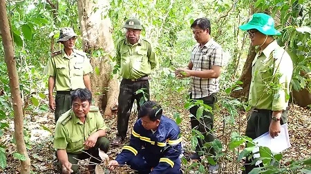 Hạt Kiểm lâm rừng cụm Đảo Hòn Khoai tăng cường công tác phòng cháy rừng trong mùa khô. 