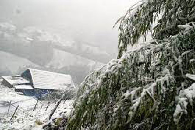 Giá rét vẫn chưa kết thúc