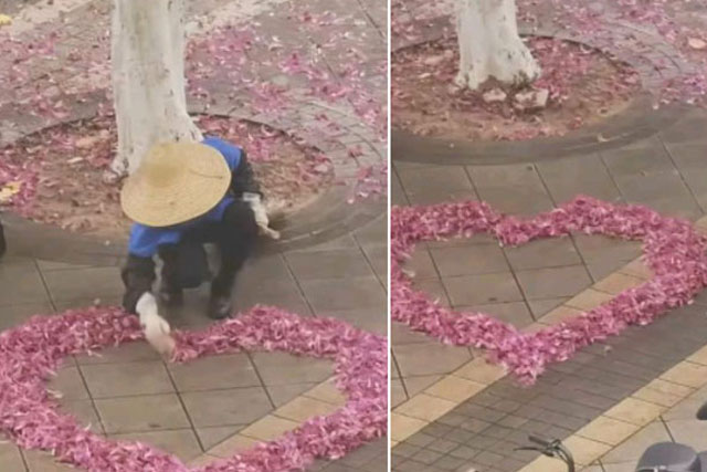 Khoảnh khắc lãng mạn của cô lao công bên gốc hoa ban góc sân trường gây bão mạng