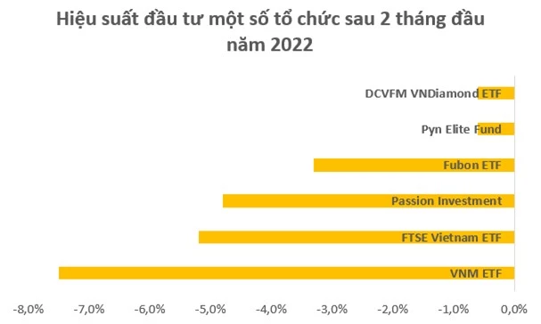 Chứng khoán biến động khó lường, không chỉ nhà đầu tư cá nhân mà nhiều tổ chức thua lỗ sau 2 tháng đầu năm - Ảnh 2.