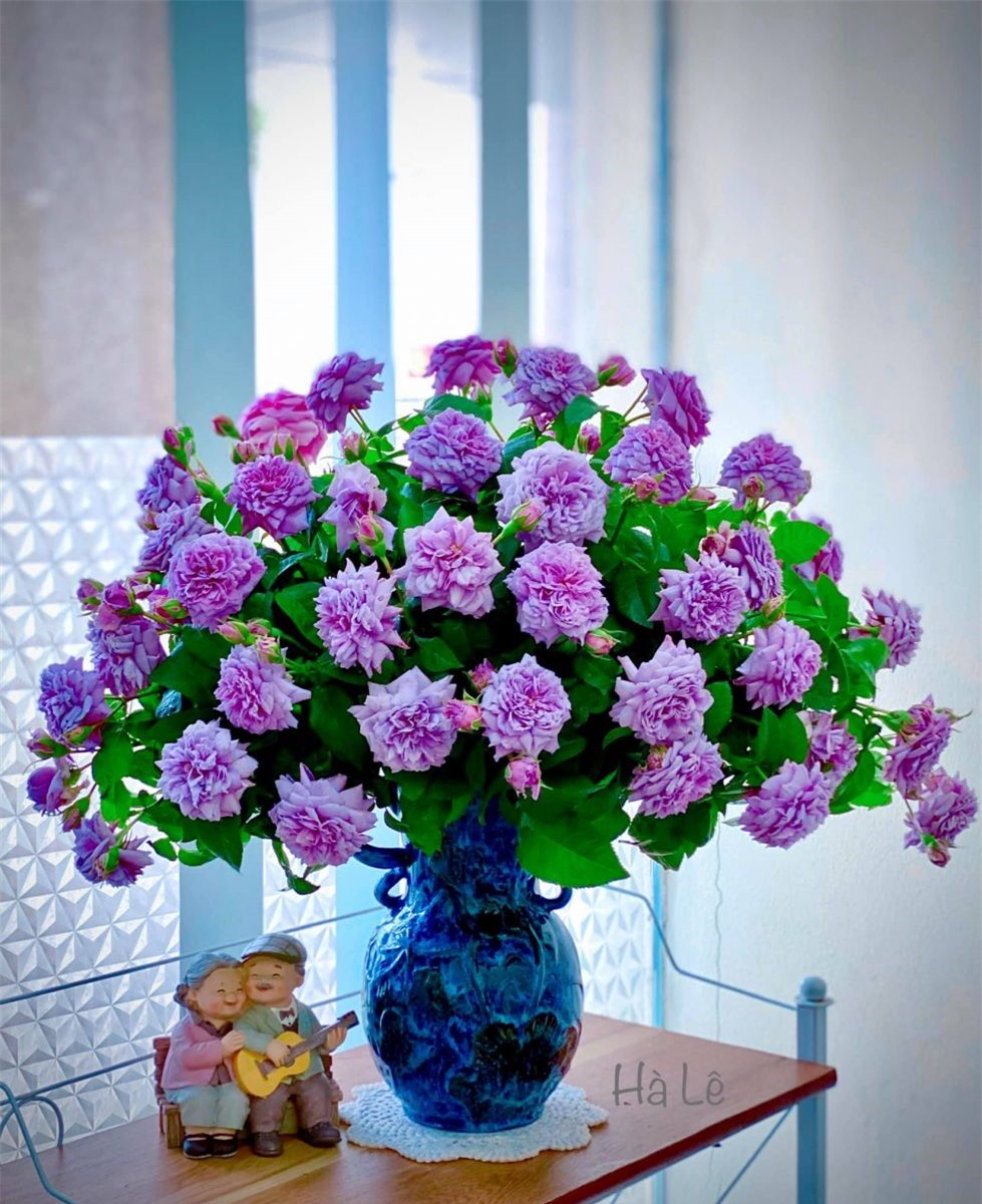 Tử vi ngày 2/3/2022 của 12 cung hoàng đạo