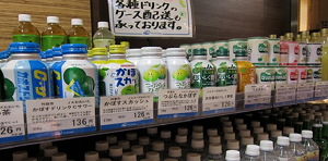 Phát huy năng lực sáng tạo địa phương để phát triển mô hình kinh tế 