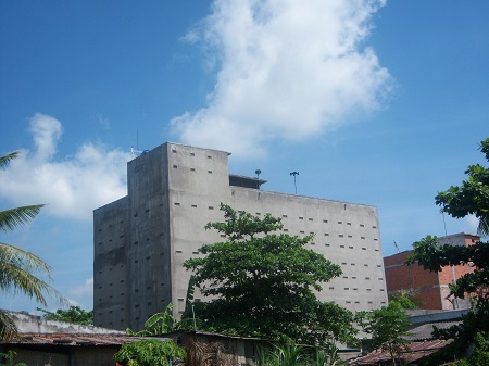 Sóc Trăng: Cấm nuôi chim yến tại khu dân cư