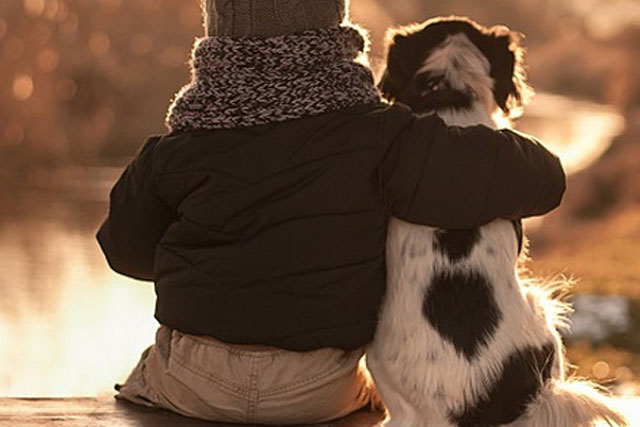 Chó là người bạn tốt nhất của con người, nhưng liệu con người có phải là người bạn tốt nhất của loài chó?