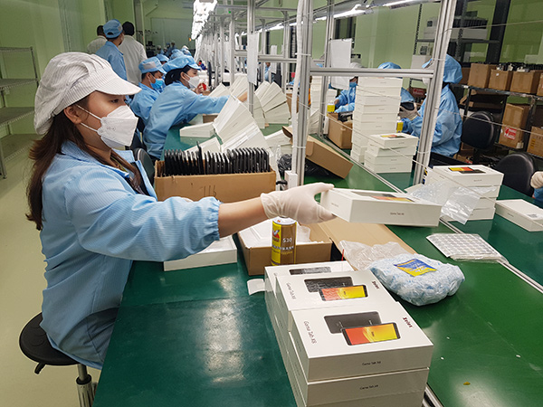 Đà Nẵng: Doanh nghiệp thành lập mới giảm cả về số lượng lẫn số vốn điều lệ đăng ký