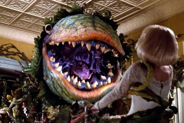 Thực vật cũng hét lên khi căng thẳng