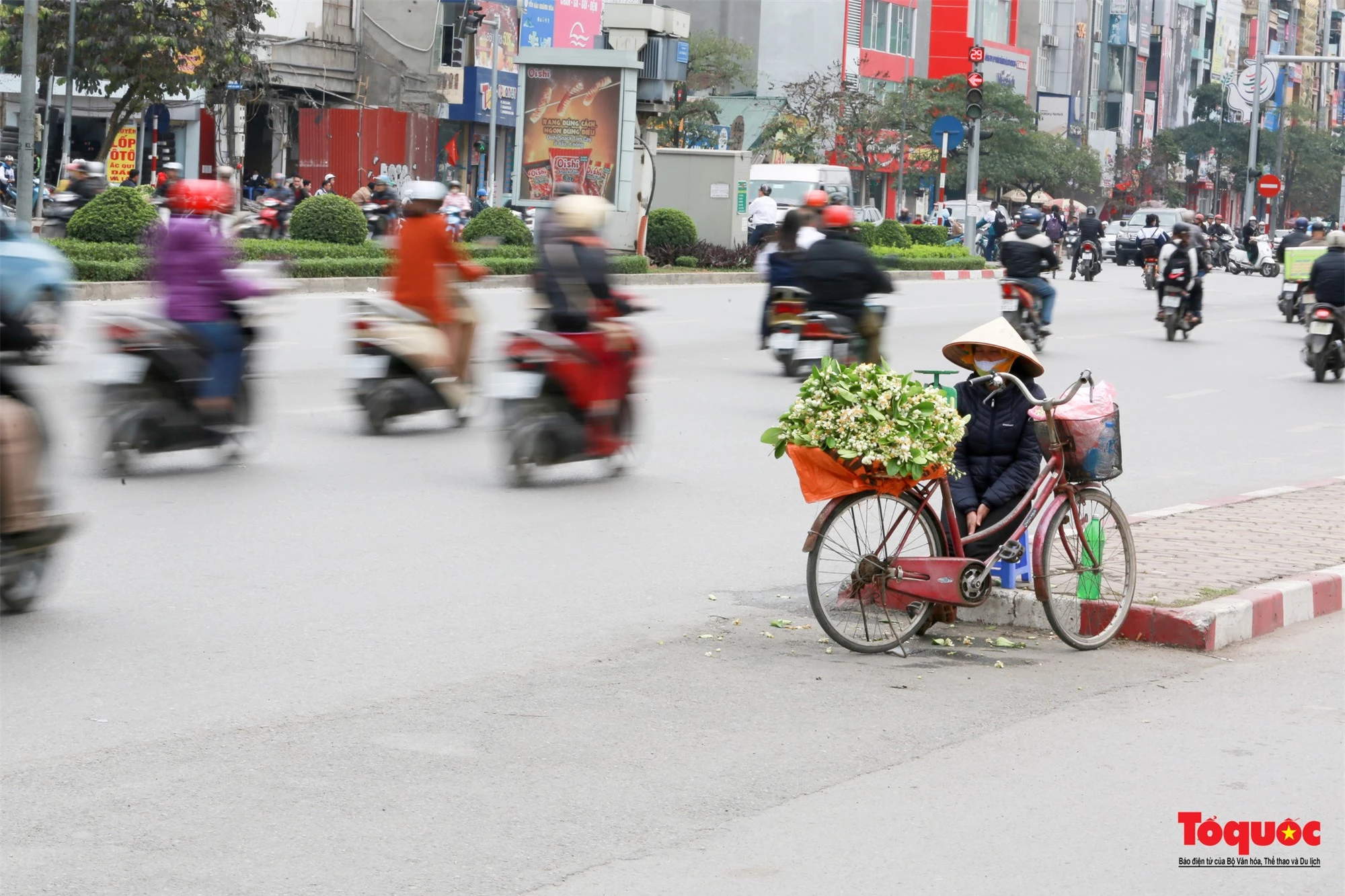 Hà Nội mùa hoa bưởi ngát hương - Ảnh 10.