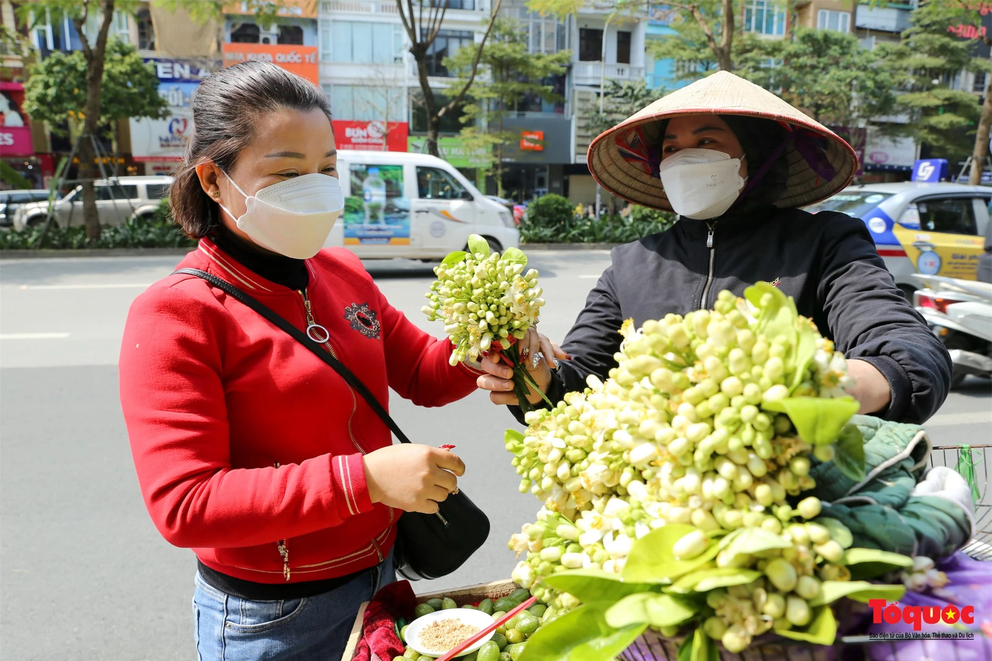 Hà Nội mùa hoa bưởi ngát hương - Ảnh 12.