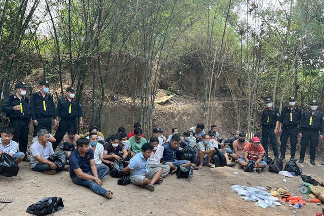 Tập trung đá gà ăn tiền giữa rừng tre nứa, 31 đối tượng bị bắt giữ