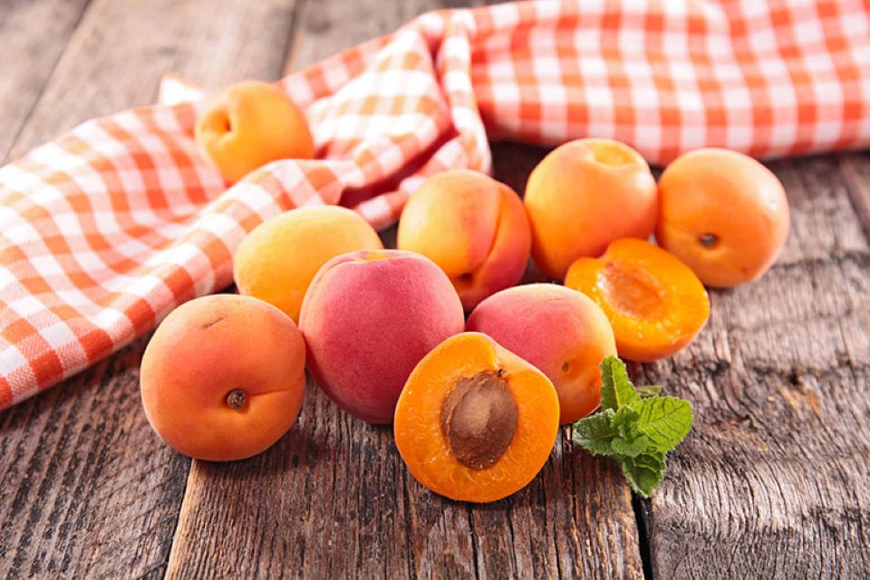 8 lợi ích từ trái mơ mà không phải ai cũng biết