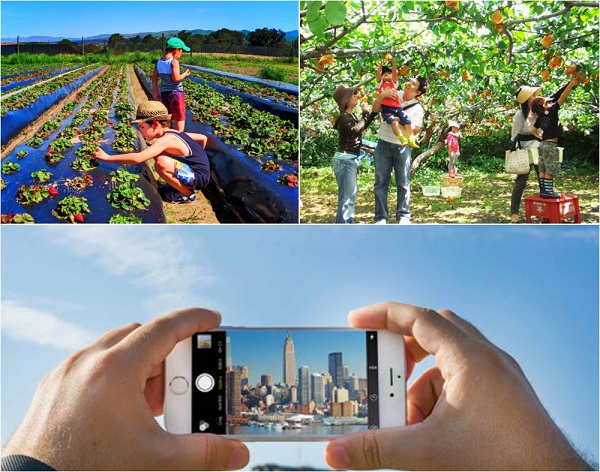 Đến năm 2023: Phấn đấu thu hút 8-9 triệu khách du lịch quốc tế, phát triển du lịch thông minh