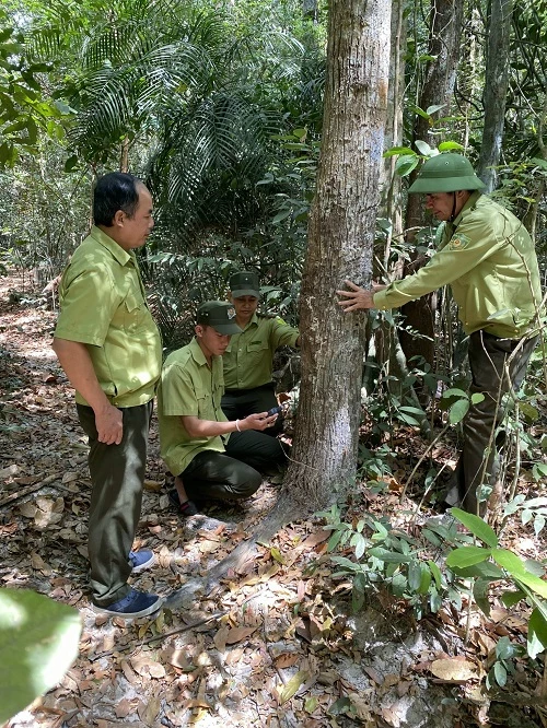 Bà Rịa – Vũng Tàu đẩy mạnh công tác quản lý rừng bằng thiết bị công nghệ