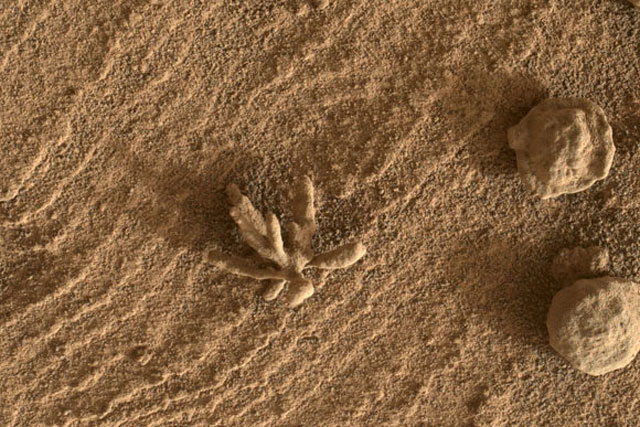 Tàu Curiosity tìm thấy vật thể giống san hô trên sao Hỏa