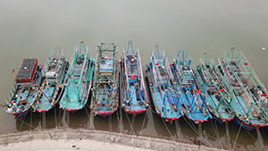 Xăng dầu tăng cao, nhiều ngư dân xứ Nghệ “gác thuyền”