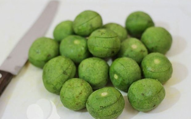 Cách bảo quản sấu để ăn được quanh năm