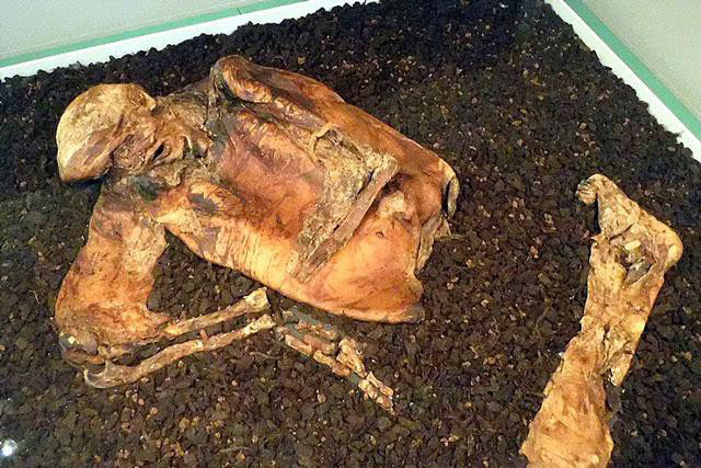 Xác ướp người đàn ông 2.000 năm còn nguyên vẹn hé lộ lễ hiến tế rùng rợn