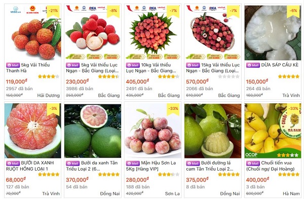 Sẽ phổ cập sử dụng sàn thương mại điện tử cho người dân và các hộ sản xuất nông nghiệp