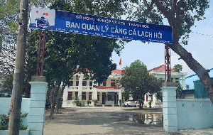 Thanh Hóa: Giám đốc cảng cá Lạch Hới bị khởi tố, đình chỉ công tác vì đánh bạc