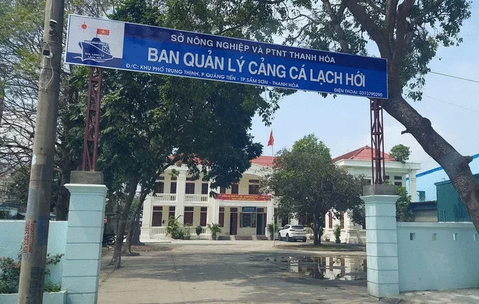 Cảng cá