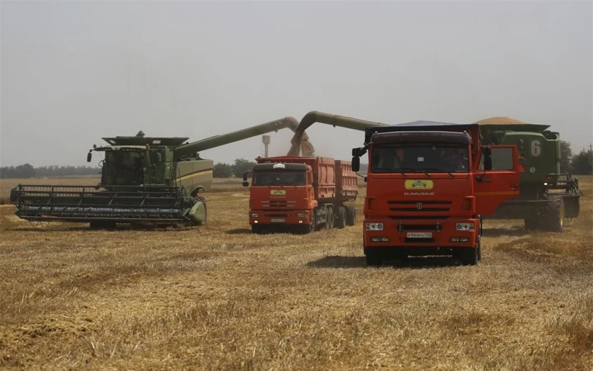 Thu hoạch lúa mì trên một cánh đồng Nga. Ảnh: AP.
