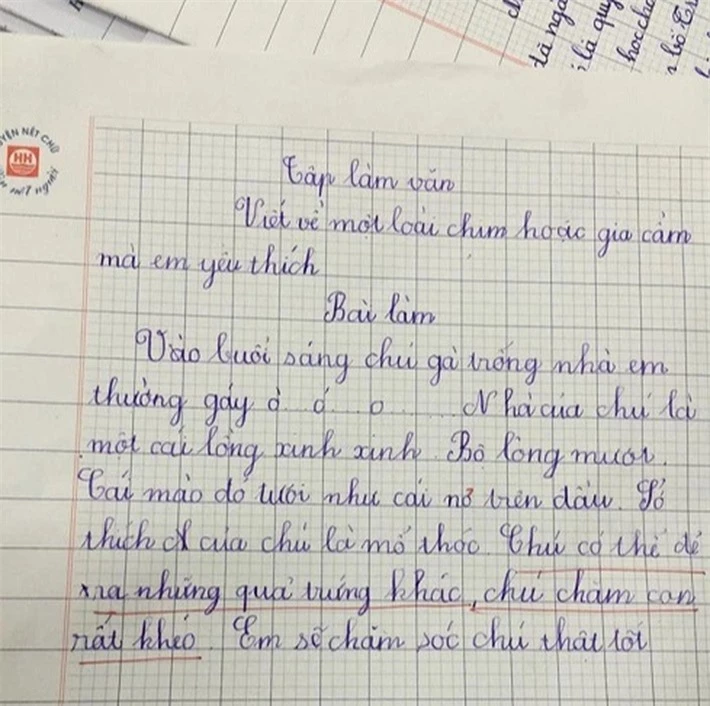 Học sinh tiểu học làm văn tả CON GÀ TRỐNG, đọc đến chi tiết cuối mà dân tình cười xỉu ba ngày chưa tỉnh: Con gà này chắc ĐỘT BIẾN  - Ảnh 1.