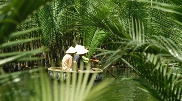 Bất ngờ chưa, ở Hội An lại có một vẻ đẹp rất miền Tây với rừng dừa xanh mướt mát - 15