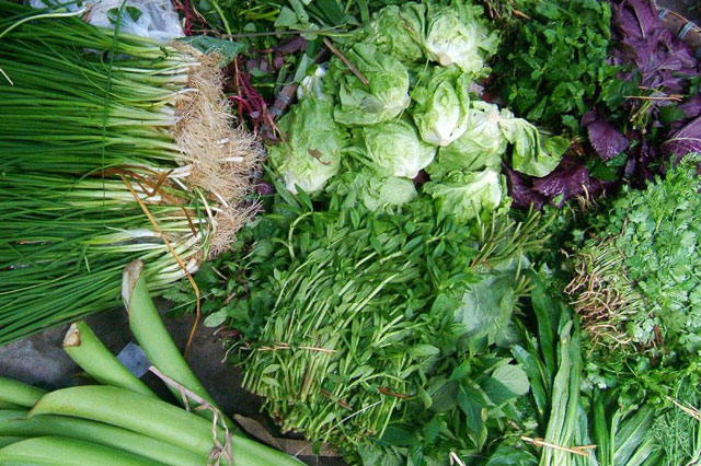 Loại rau củ Việt Nam trồng bán rất nhiều, không sợ hàng nhập kém đảm bảo, ăn bao nhiêu cũng được