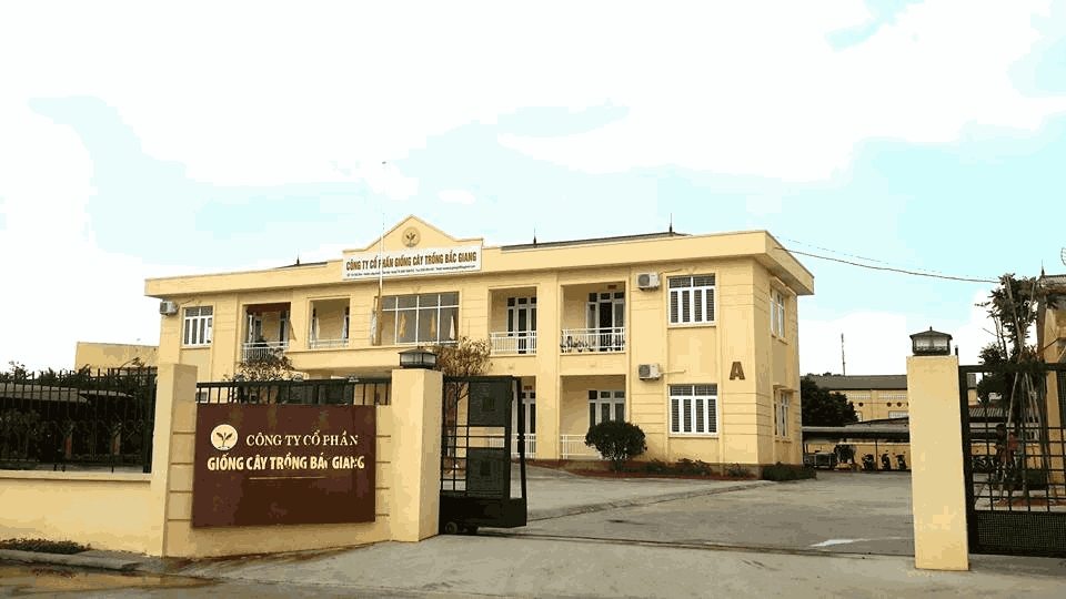 BAGISEED: Thổi hồn quê hương vào từng hạt giống