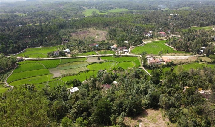 Ngôi làng với ngõ đá và nhà cổ đẹp như tranh, yên bình ‘trốn’ phố thị xứ Quảng - 1