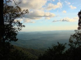 Phóng sự (kỳ 2): Dãy Trường Sơn đang khóc
