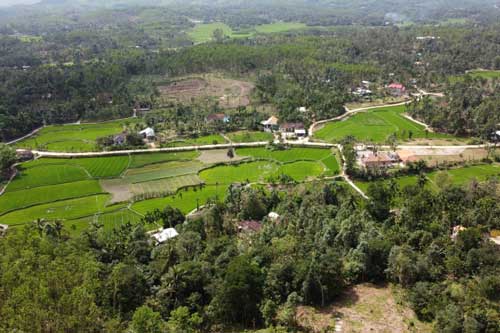 Ngôi làng với ngõ đá và nhà cổ đẹp như tranh, yên bình ‘trốn’ phố thị xứ Quảng