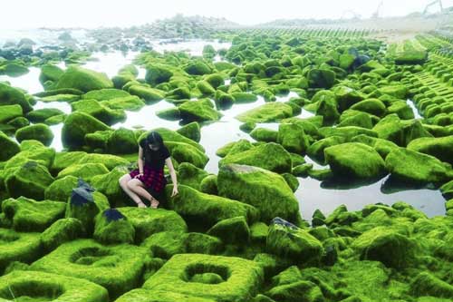 Xuân về, Phú Yên lại hiện lên một ‘thiên đường rêu xanh’ đẹp mê ly