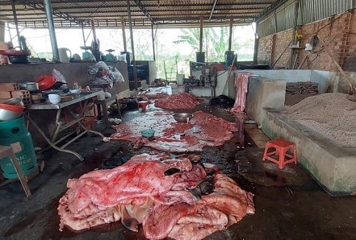 Bà Rịa – Vũng Tàu: Phát hiện cơ sở chế biến mỡ động vật không phép