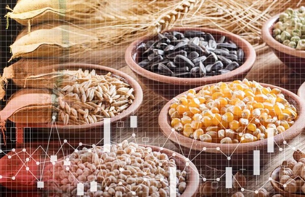 Hướng dẫn mới giúp doanh nghiệp xuất khẩu hàng thực phẩm vào Trung Quốc 