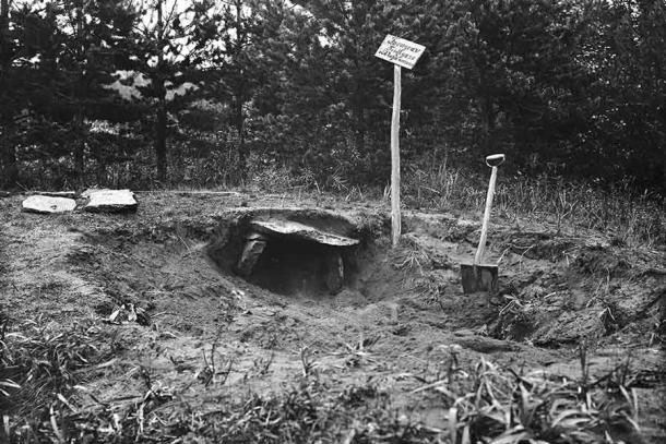 "Tái sinh" người đàn bà từ mộ cổ 4.000 năm: kết quả bất ngờ