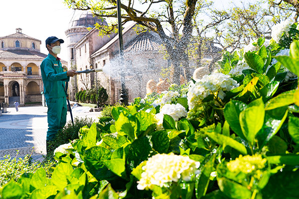 Bà Nà Hills mở cửa trở lại, Đà Nẵng quyết khẳng định vị thể điểm đến du lịch hàng đầu Việt Nam