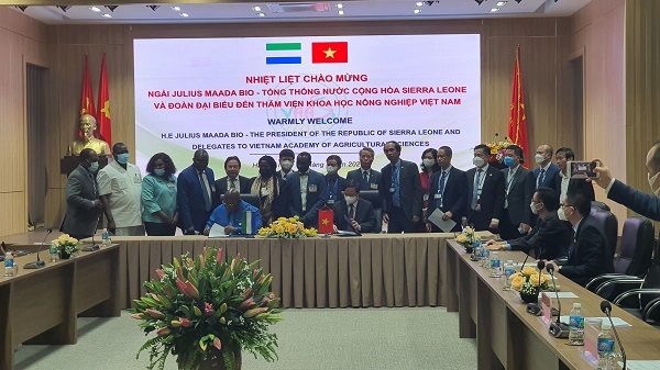 Phái đoàn Tổng thống Cộng hoà Sierra Leone thăm và ký kết hợp tác với Viện Khoa học Nông nghiệp Việt Nam