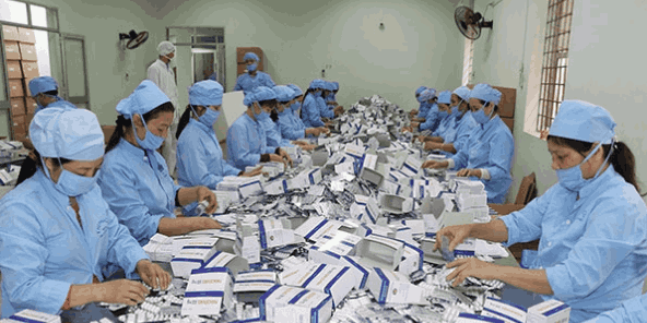 Thephaco: Không ngừng phát triển để vươn xa