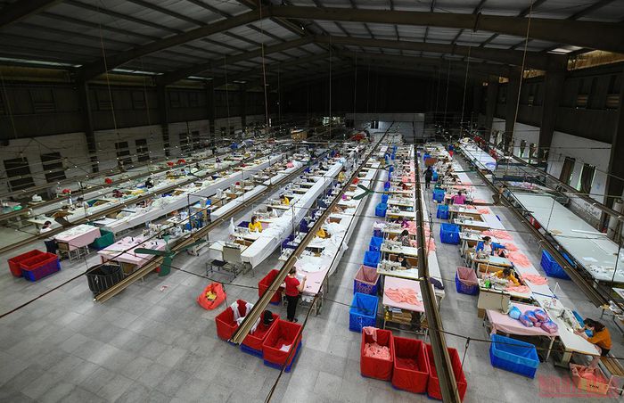 Doanh nghiệp trong nước nỗ lực vượt khó, tăng đà phục hồi