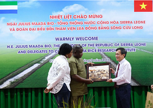 Tổng thống Cộng hòa Sierra Leone cùng phu nhân thăm và làm việc tại An Giang, Cần Thơ