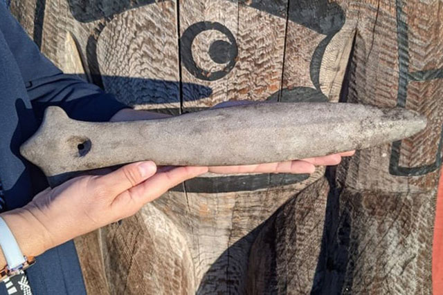 Dọn vườn, ngỡ ngàng thấy báu vật ngàn năm tự "hiện hình"