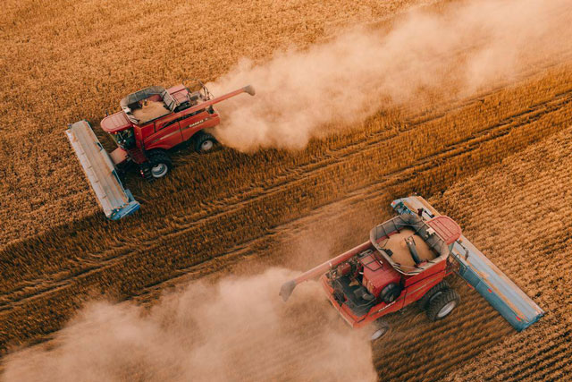 Xung đột Nga-Ukraine khiến thị trường nông sản chao đảo: Nhiều quốc gia hành động khẩn cấp