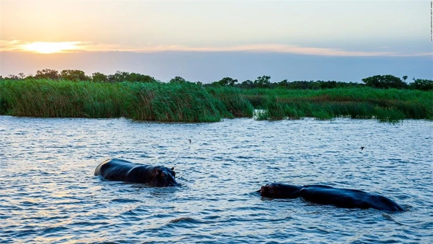 Công viên đầm lầy iSimangaliso trên bờ biển Nam Phi, có hệ sinh thái và loài đa dạng khổng lồ cũng có thể bị tàn phá nghiêm trọng do nước biển dâng. Ảnh: CNN.