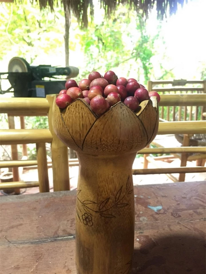 Trái da đá - đặc sản độc nhất vô nhị, muốn ăn phải tìm đến Ninh Thuận mới có - 2