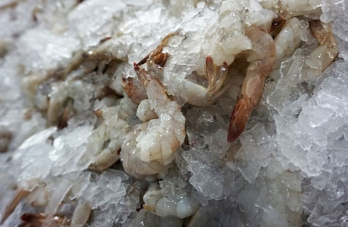 4 sai lầm tai hại khi chế biến tôm mà nhiều người mắc phải