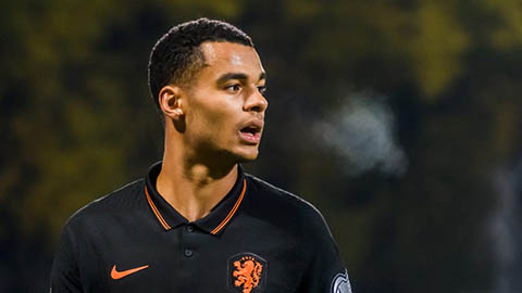 Liverpool, Bayern và Barca tranh nhau Cody Gakpo