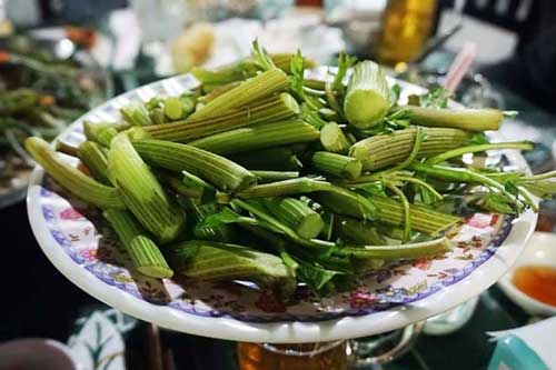 Từ loài cỏ mọc dại, người miền Tây đem về nhúng lẩu cá trê rồi thành món đặc sản