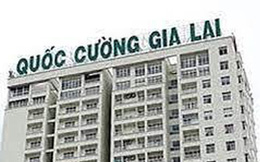 Không khởi tố vụ Công ty Quốc Cường Gia Lai bị tố chiếm đoạt hơn 2.882 tỉ đồng