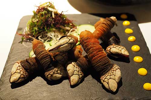 Loại hải sản đắt hơn tôm hùm, hình dáng kỳ dị nên được mệnh danh là ngón tay quỷ